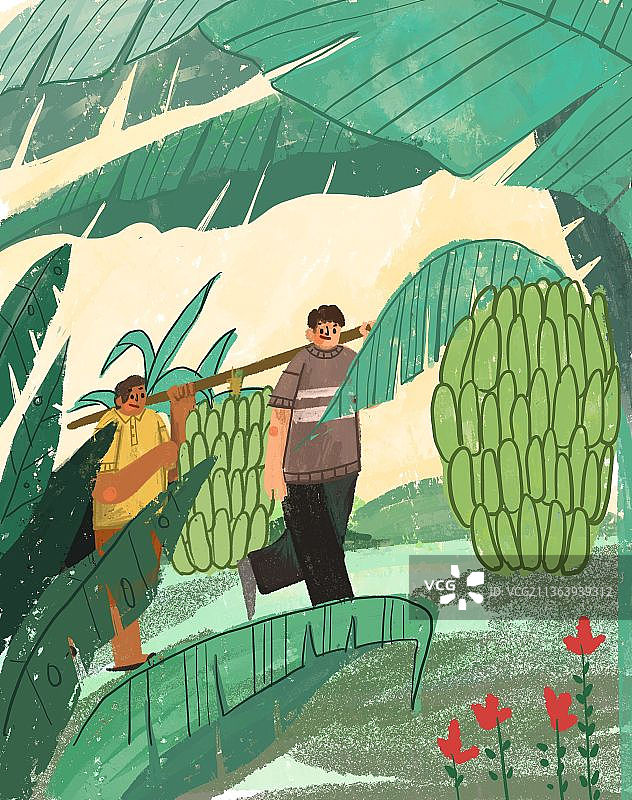 收获芭蕉图片素材