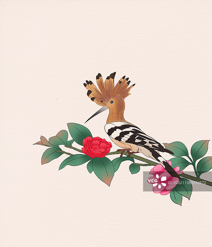 中国风新中式古风古典国画花鸟画戴胜鸟山茶花装饰插画图片素材