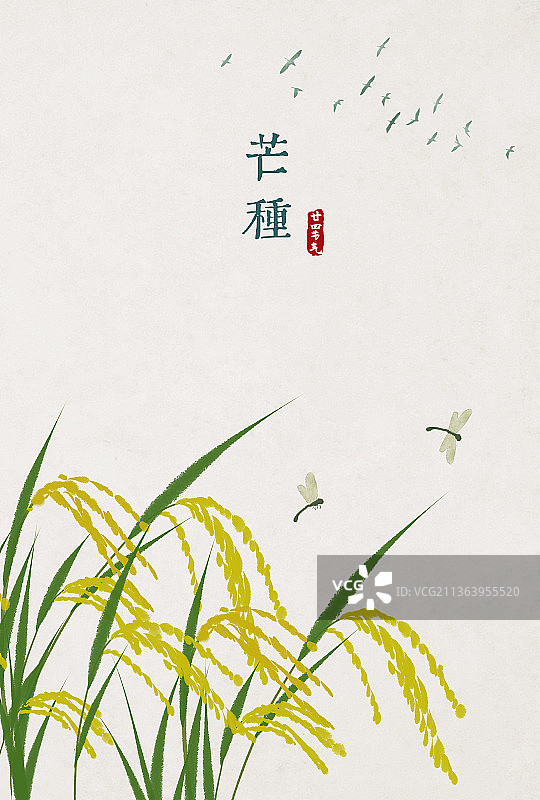 芒种节气中式插画图片素材