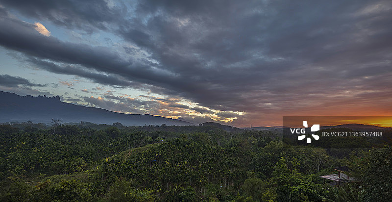 七仙岭雨林霞光图片素材