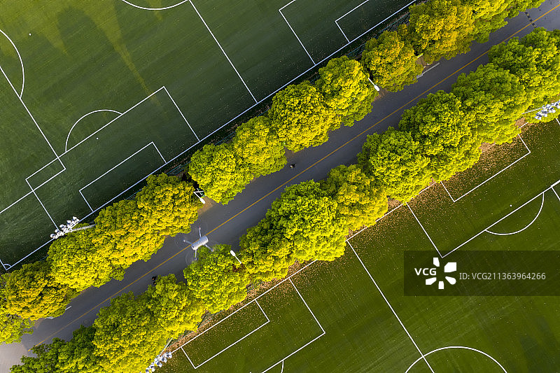 上海体育学院航拍校园图片素材