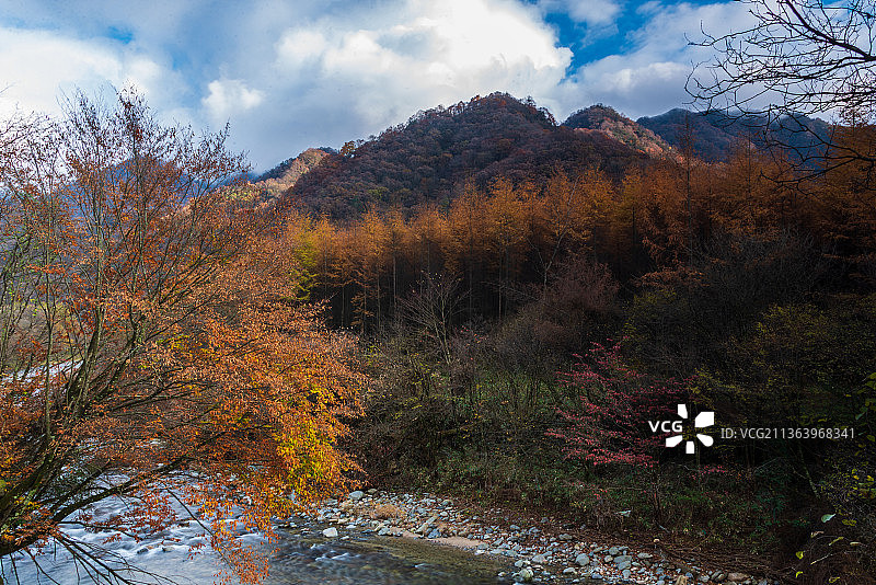 光雾山红叶图片素材