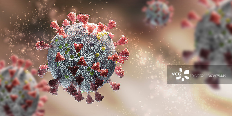3D渲染新冠病毒高清插图图片素材