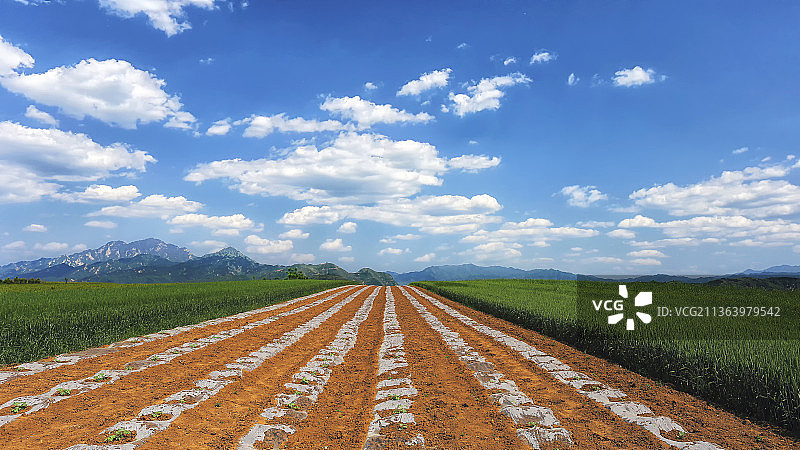 白鹿原图片素材