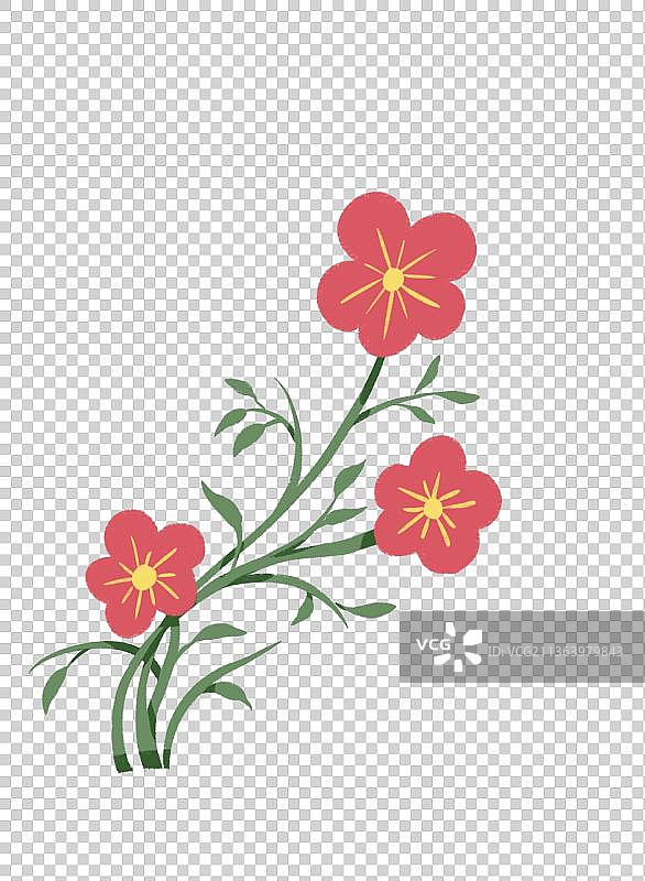 红色小花图片素材