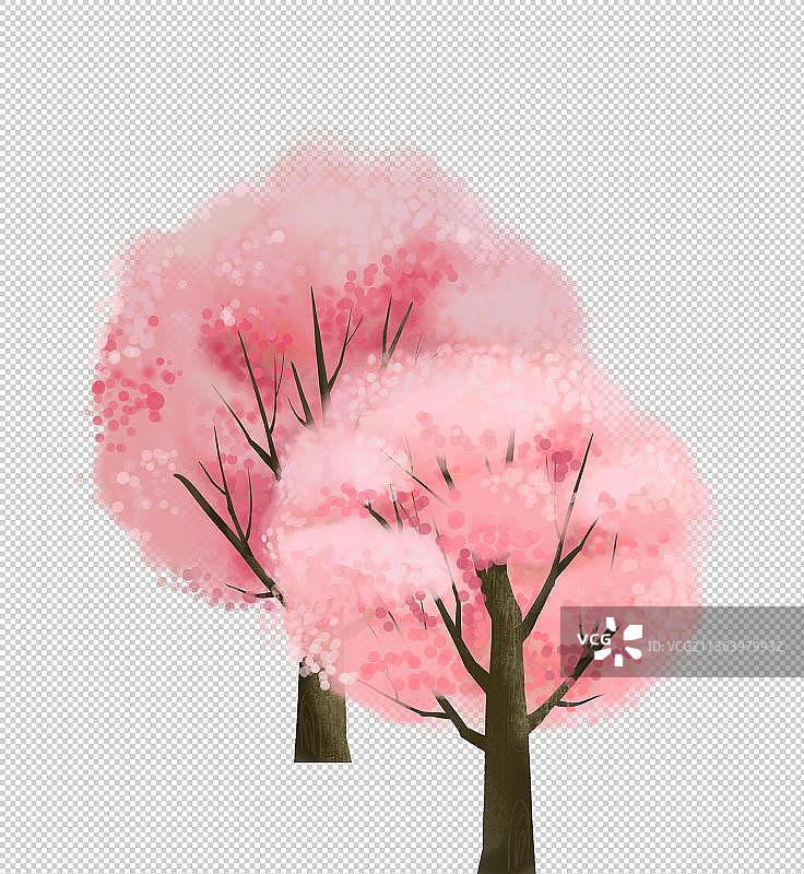 两棵樱花树图片素材