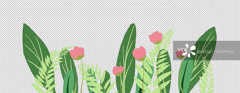 植物装饰图片素材