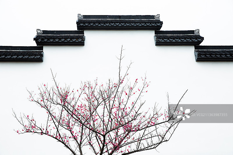 红梅傲雪，梅花香自苦寒来，梅花与古建筑，梅花盆景图片素材