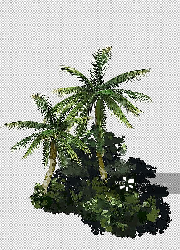 海岛椰子树图片素材