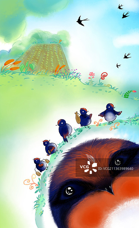 春天的季节 绿油油的农田 穿花衣的小燕子图片素材