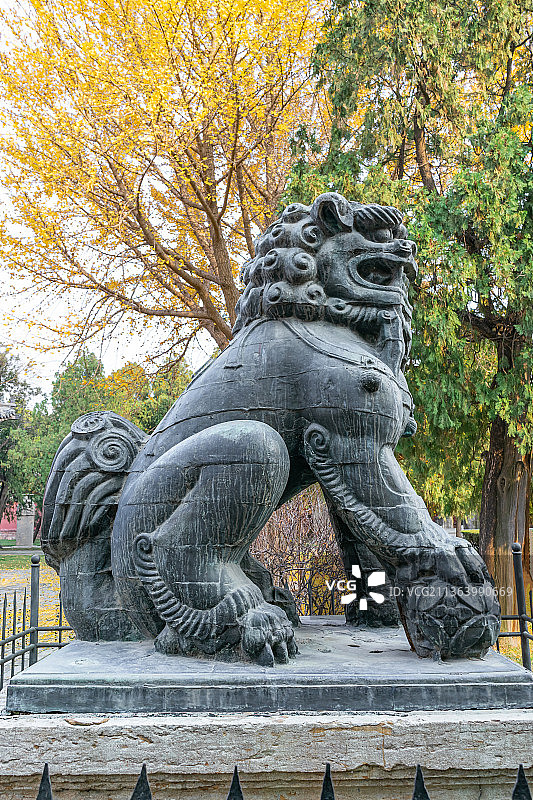 中国山东泰安著名旅游景点泰山风景区，岱庙行宫里的铜狮子图片素材