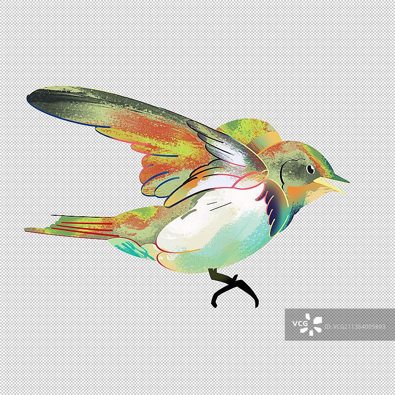 飞禽类 飞翔鸟 动物主题世界 大自然 可爱图片素材