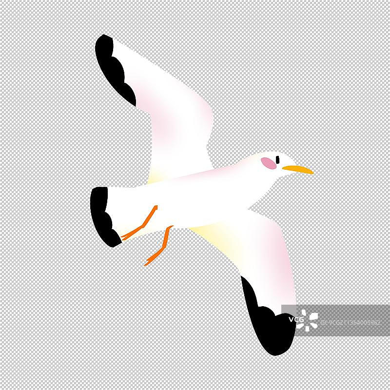 白鸽子海鸥海鸟飞禽类 飞翔鸟 动物主题世界 大自然 可爱图片素材