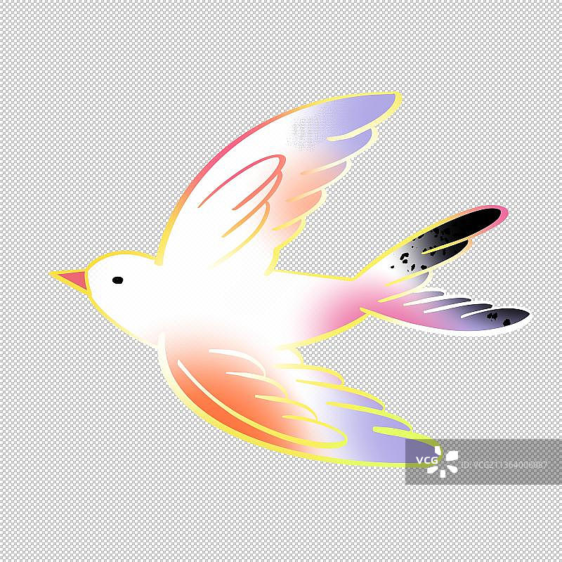 白鸽子海鸥海鸟飞禽类 飞翔鸟 动物主题世界 大自然 可爱图片素材