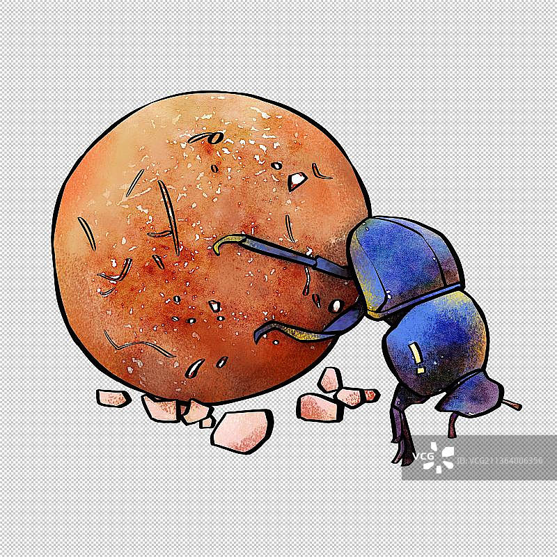 屎壳郎 肮脏疾病病毒 动物主题世界 大自然 可爱图片素材