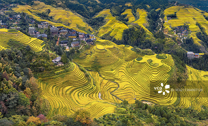 龙脊梯田图片素材