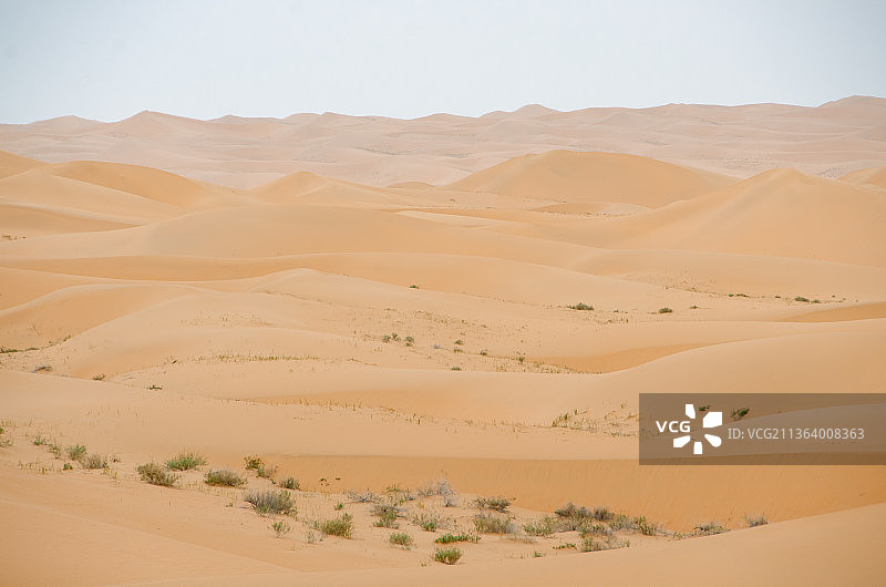 亚洲中国内蒙古阿拉善著名旅游景点古腾格里沙漠，广袤的金黄色沙漠图片素材