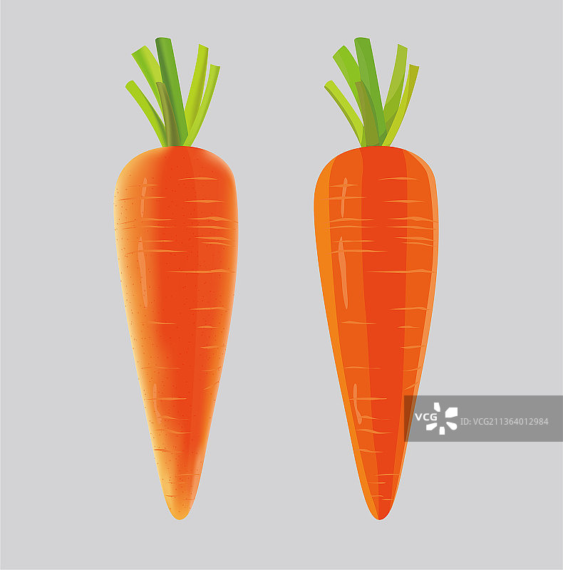 胡萝卜矢量插画图片素材