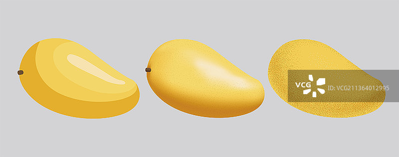 芒果矢量插画图片素材