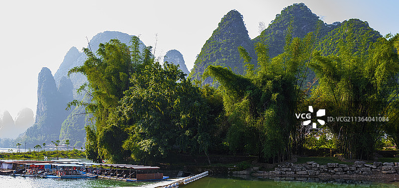 漓江的凤尾竹图片素材