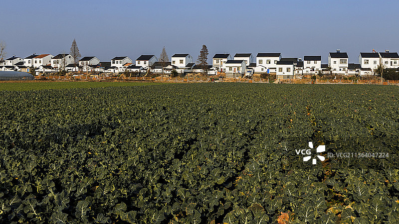 美丽乡村图片素材