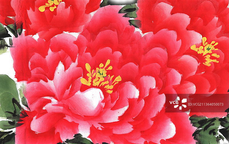 红色的牡丹花图片素材