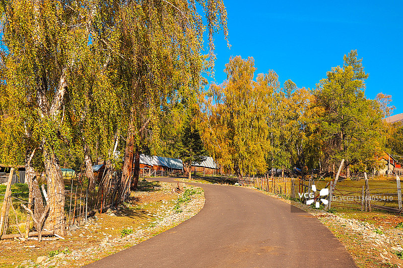 中国新疆阿勒泰白哈巴村秋天美丽的乡村牧场田园风光图片素材