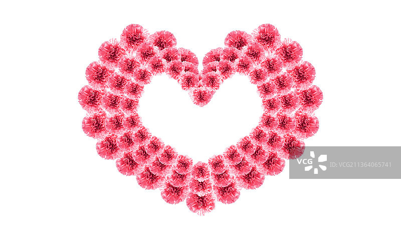 美丽的康乃馨鲜花心形海报，美容时尚背景素材图片素材