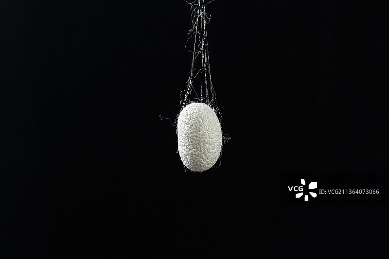 天然蚕茧图片素材