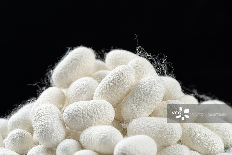 天然蚕茧图片素材