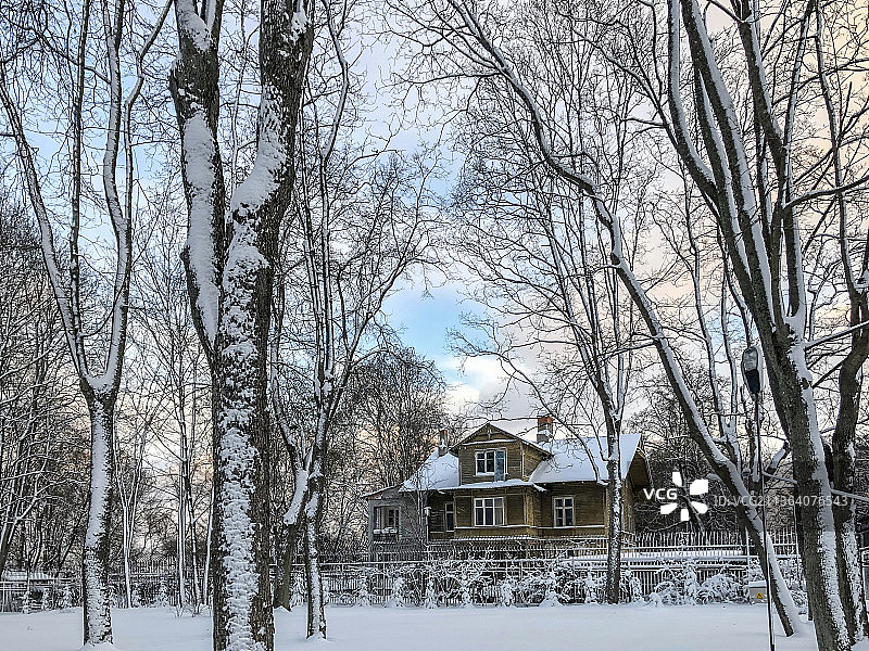 雪地上的树和房子图片素材
