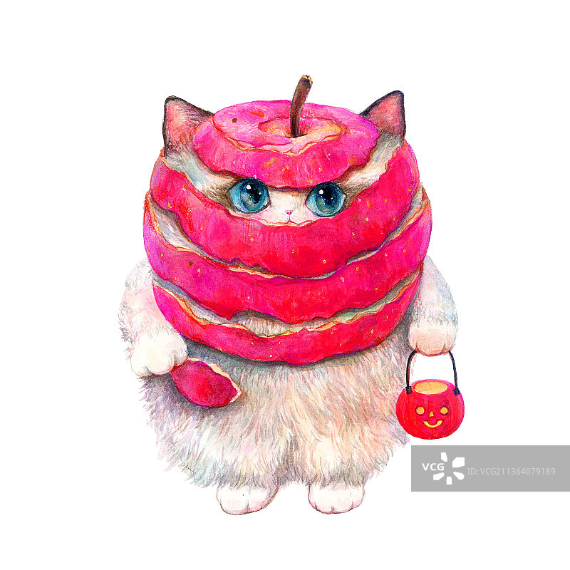 万圣节变装猫图片素材