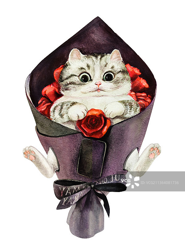 玫瑰花束猫图片素材