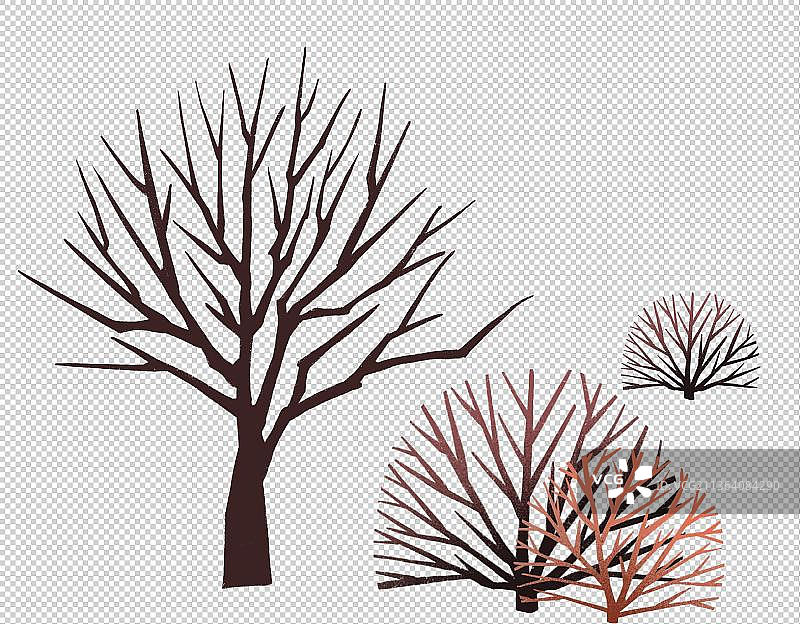 树枝集合图片素材