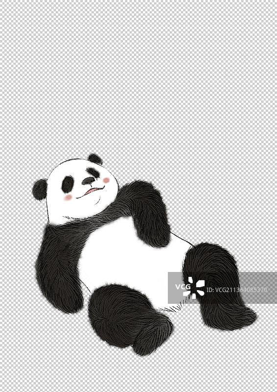 大熊猫图片素材