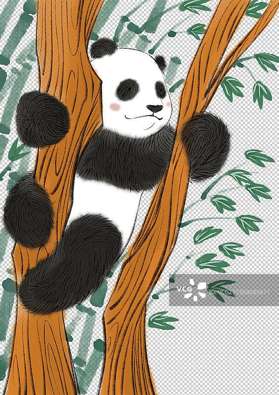 大熊猫图片素材