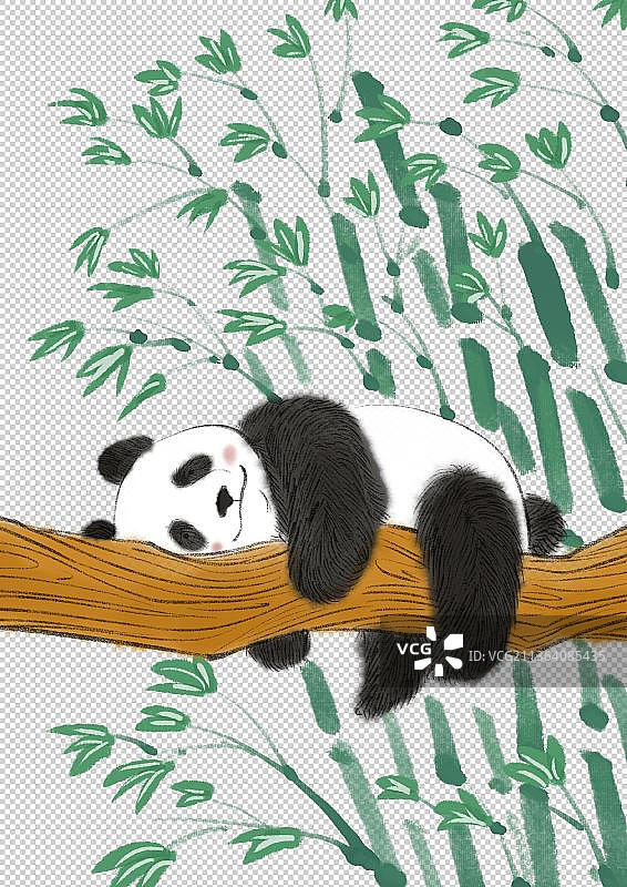 大熊猫图片素材