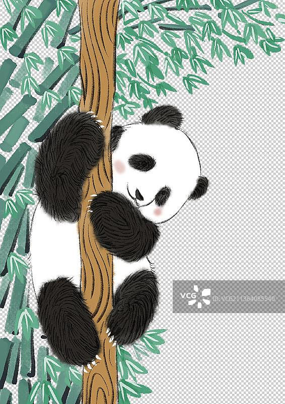 大熊猫图片素材