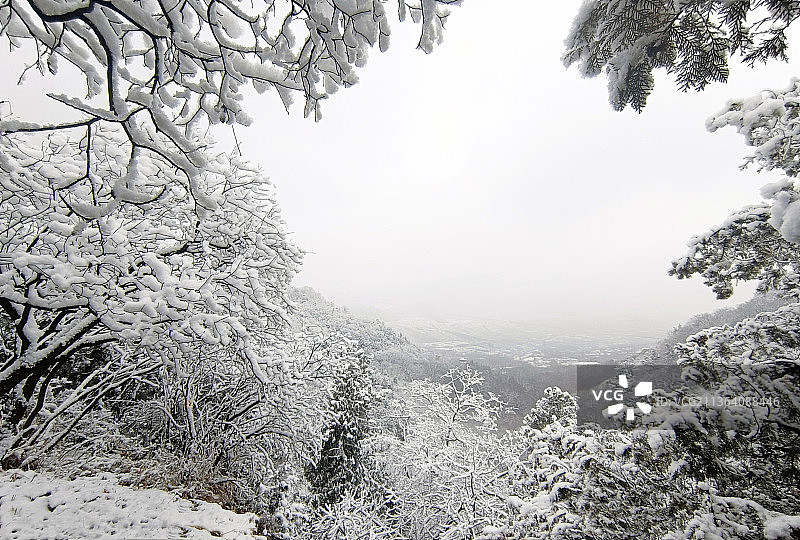 山东枣庄山亭区抱犊崮国家森林公园雪景图片素材