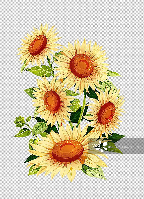 清新唯美的金黄色向日葵图片素材