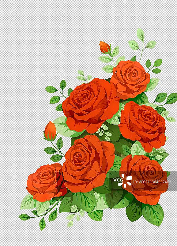 热烈唯美的红色玫瑰花图片素材