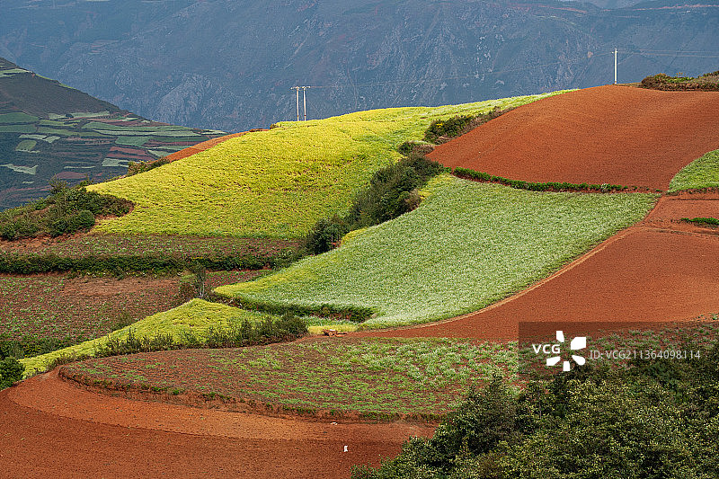 东川红土地图片素材