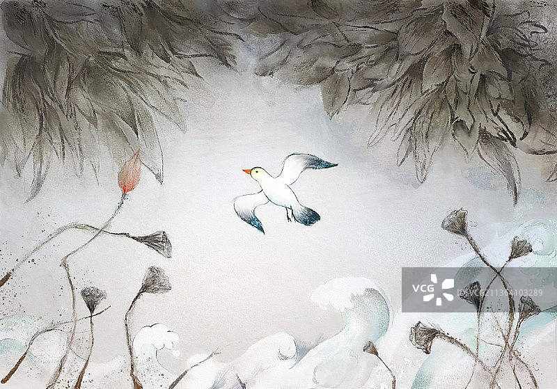 飞鸟空境图片素材