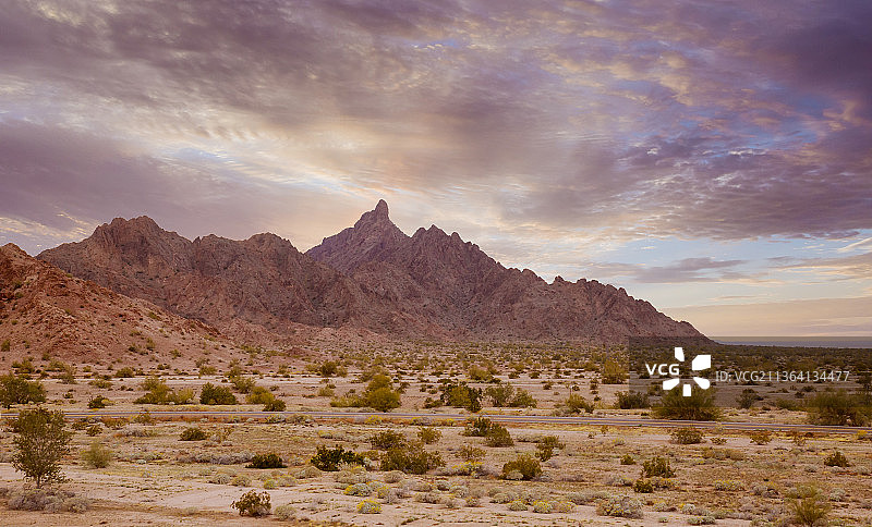 亚利桑那州凤凰城附近的壮丽沙漠荒野全景图片素材