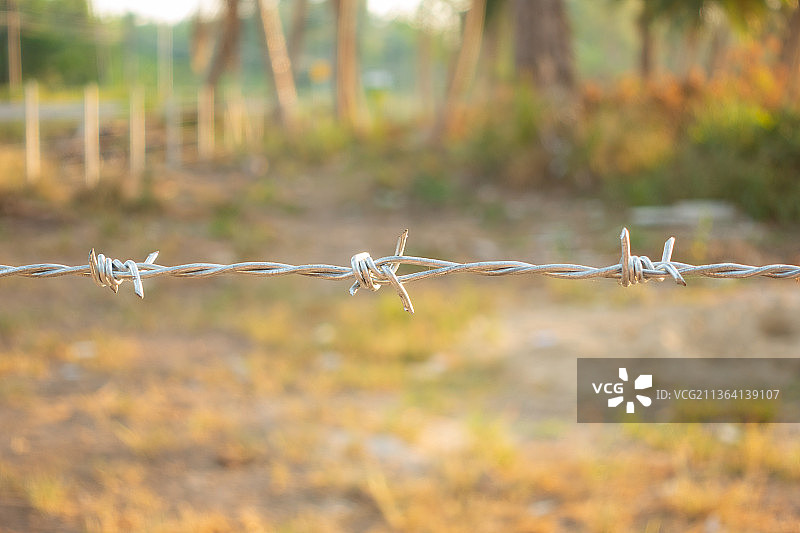安全带刺铁丝网特写图片素材
