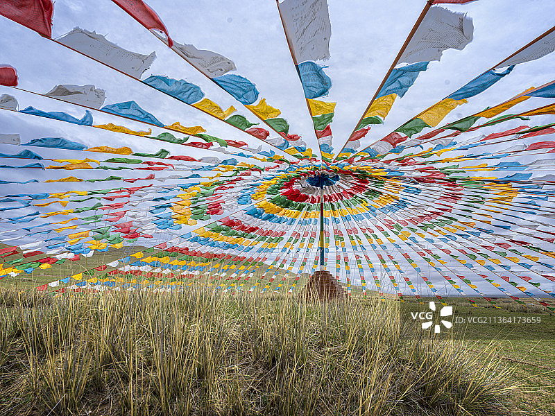 青海牧场图片素材