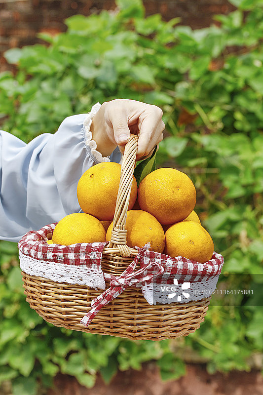 手里提着一篮爱媛38号果冻橙图片素材