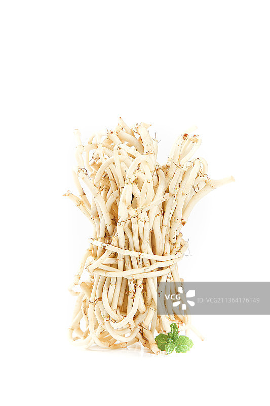 白底上摆放着鱼腥草图片素材