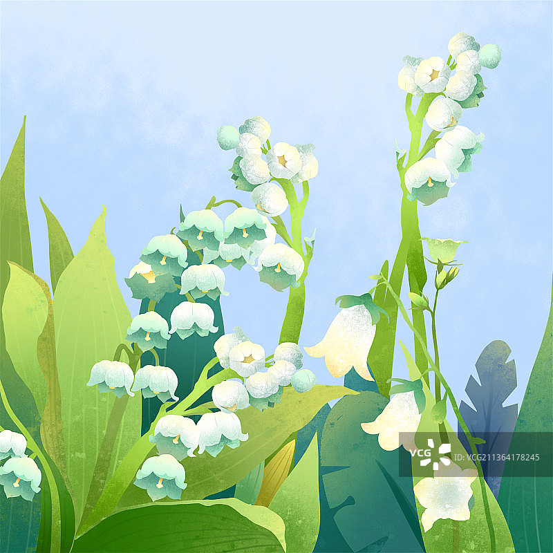 小清新插画风铃草自然植物花瓣图片素材