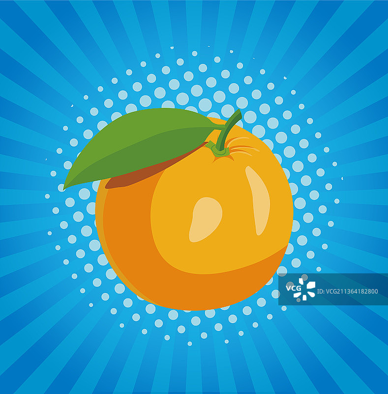 橙子矢量插画图片素材